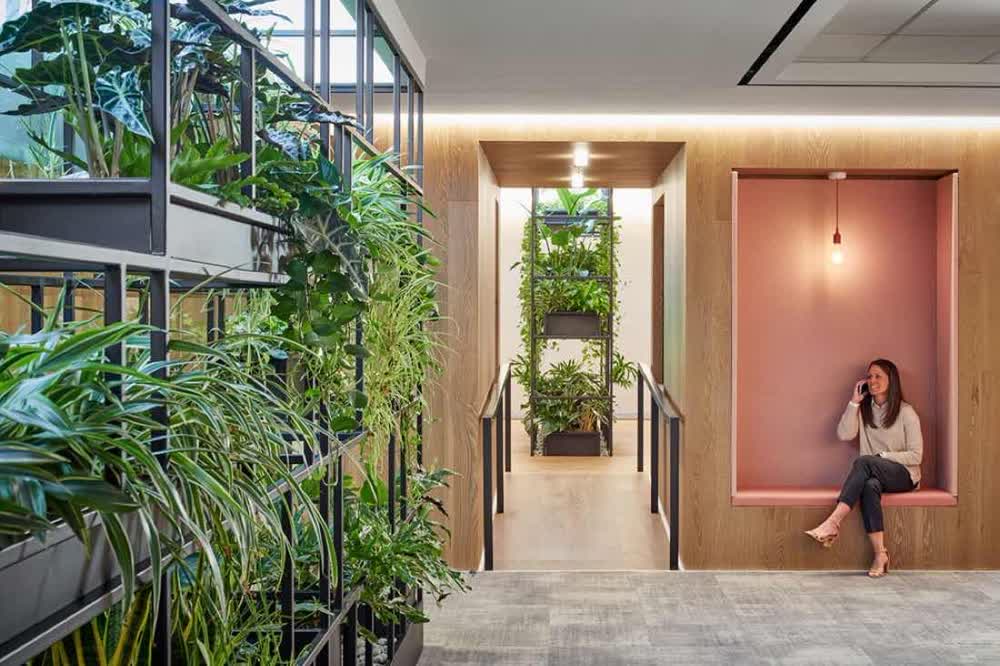 Interior with a two-storey planted wall and an oak-lined corridor