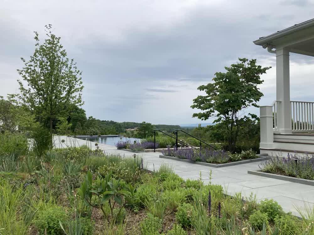 Perennial planting and stone terrace in summer
